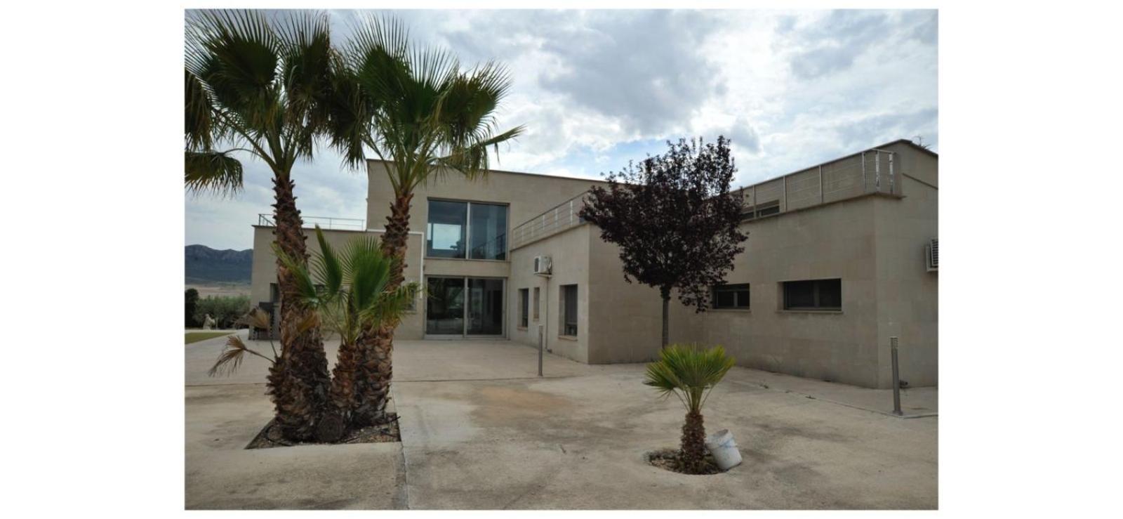 Villa Campo Premium Yecla Exterior photo